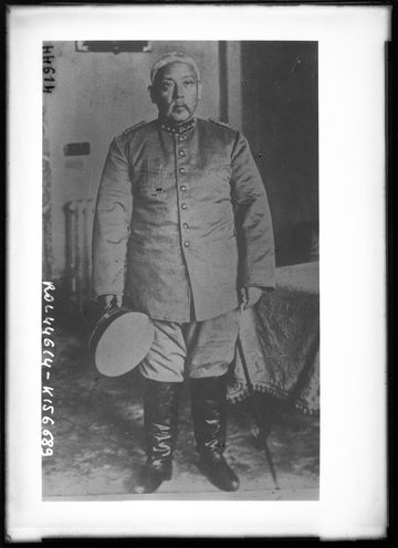 袁世凱、1915年